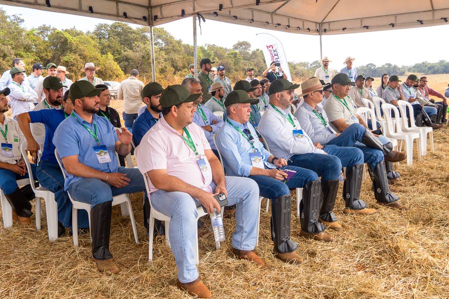 Registro do Circuito Técnico Amipa 2026