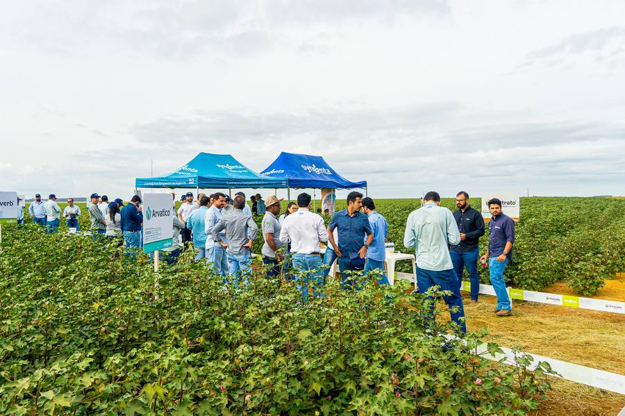 Registro do Circuito Técnico Amipa 2026